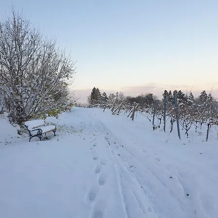 Bioweingut Hauerhof 99 -apartment 2 Klosterneuburg