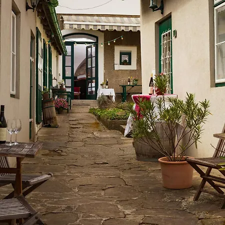 Bioweingut Hauerhof 99 -apartment 2 *