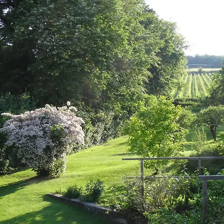 Bioweingut Hauerhof 99 -apartment 2 Apartamento