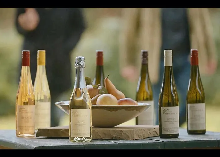 Bioweingut Hauerhof 99 -apartment 2 Klosterneuburg