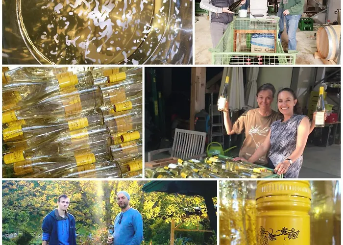 Lägenhet Bioweingut Hauerhof 99 -apartment 2 Klosterneuburg