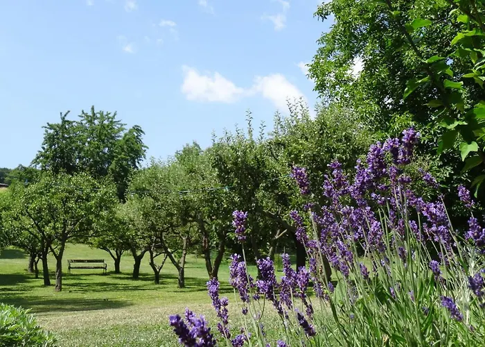 Bioweingut Hauerhof 99 -apartment 2 Klosterneuburg